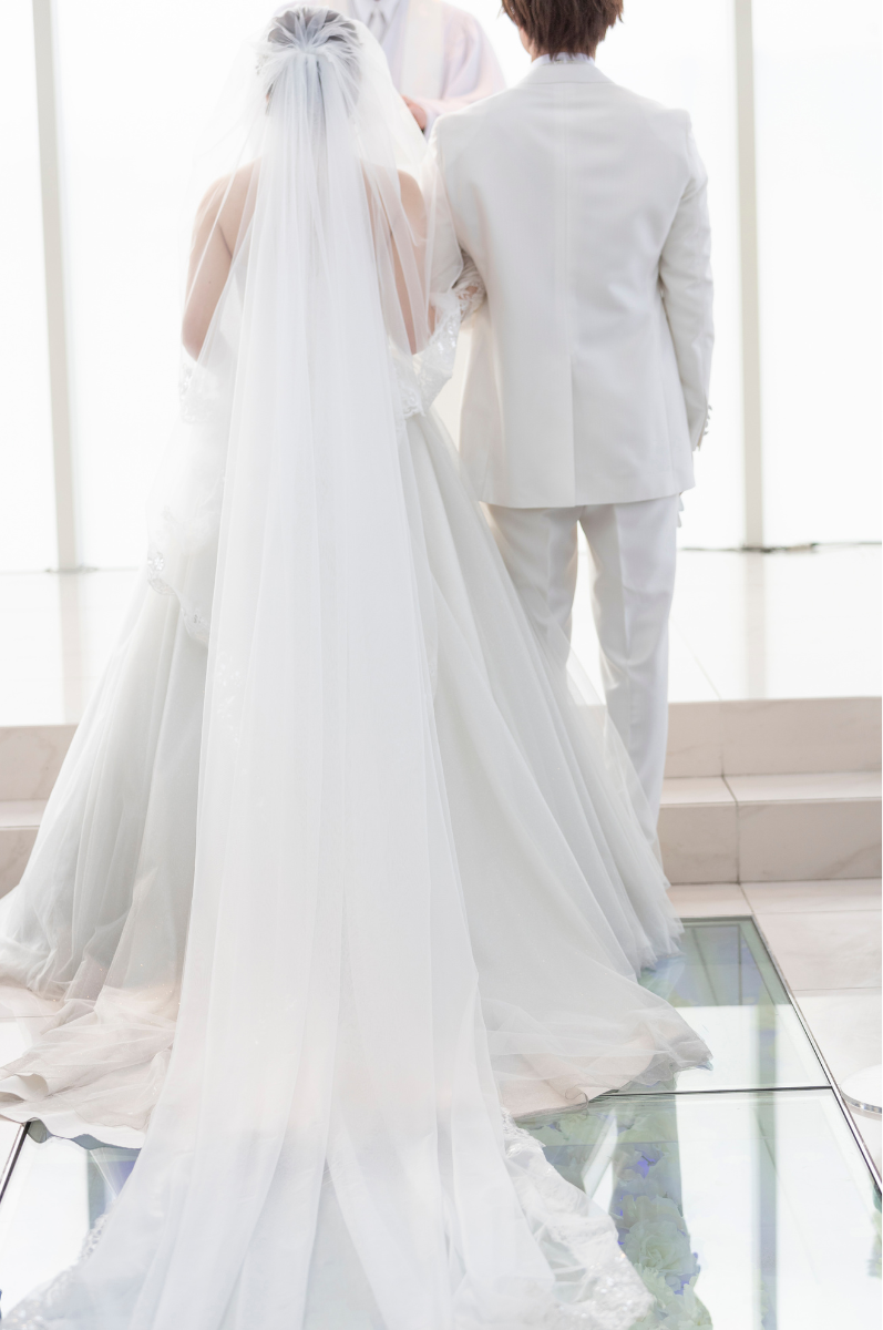 Voile de tulle doux élégant à deux diadèmes